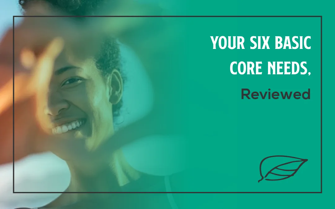 Your Six Basic Core Needs, Reviewed