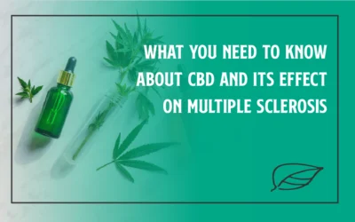 What You Need to Know About CBD and Its Effect on Multiple Sclerosis