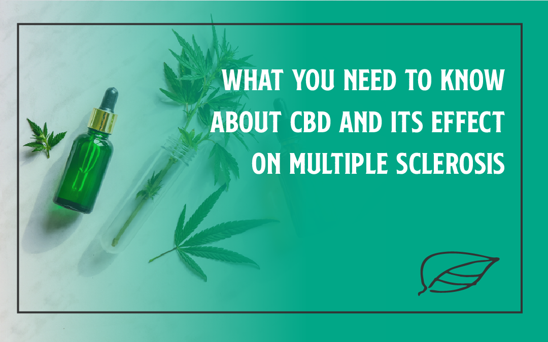What You Need to Know About CBD and Its Effect on Multiple Sclerosis