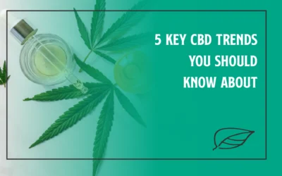5 Key CBD Trends You Should Know About