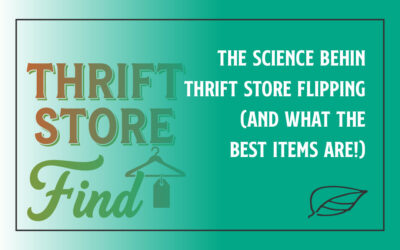 The Science Behind Thrift Store Flipping (and What the Best Items Are!)
